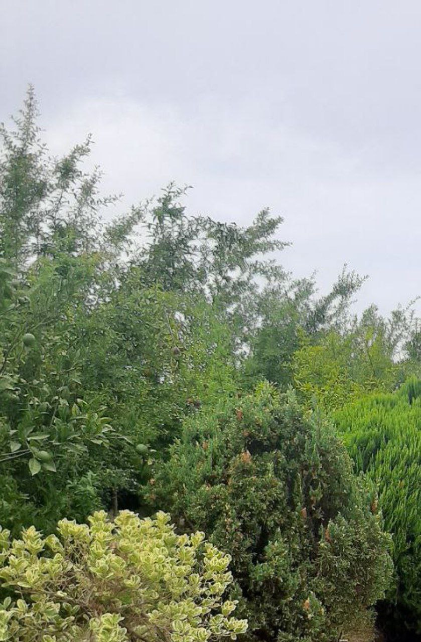 گفتن جمله‌ی «زمان همه‌ی زخم‌ها رو درمان
