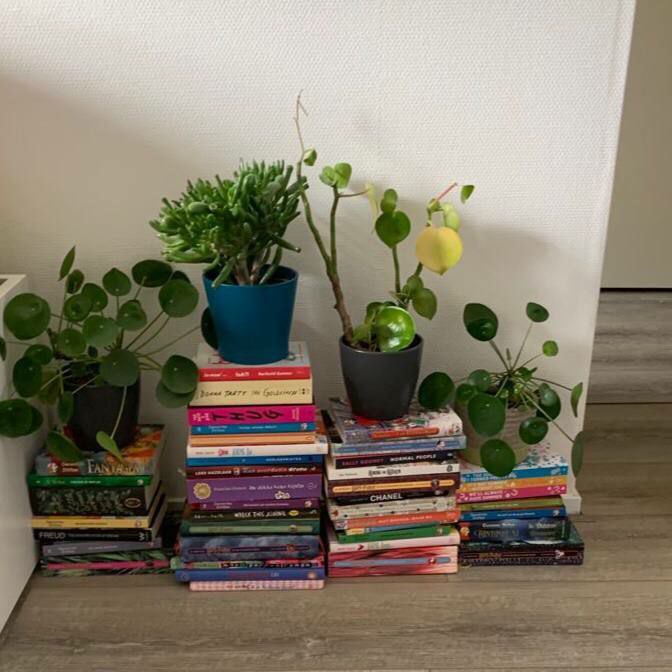 به قول خسرو شکیبایی: