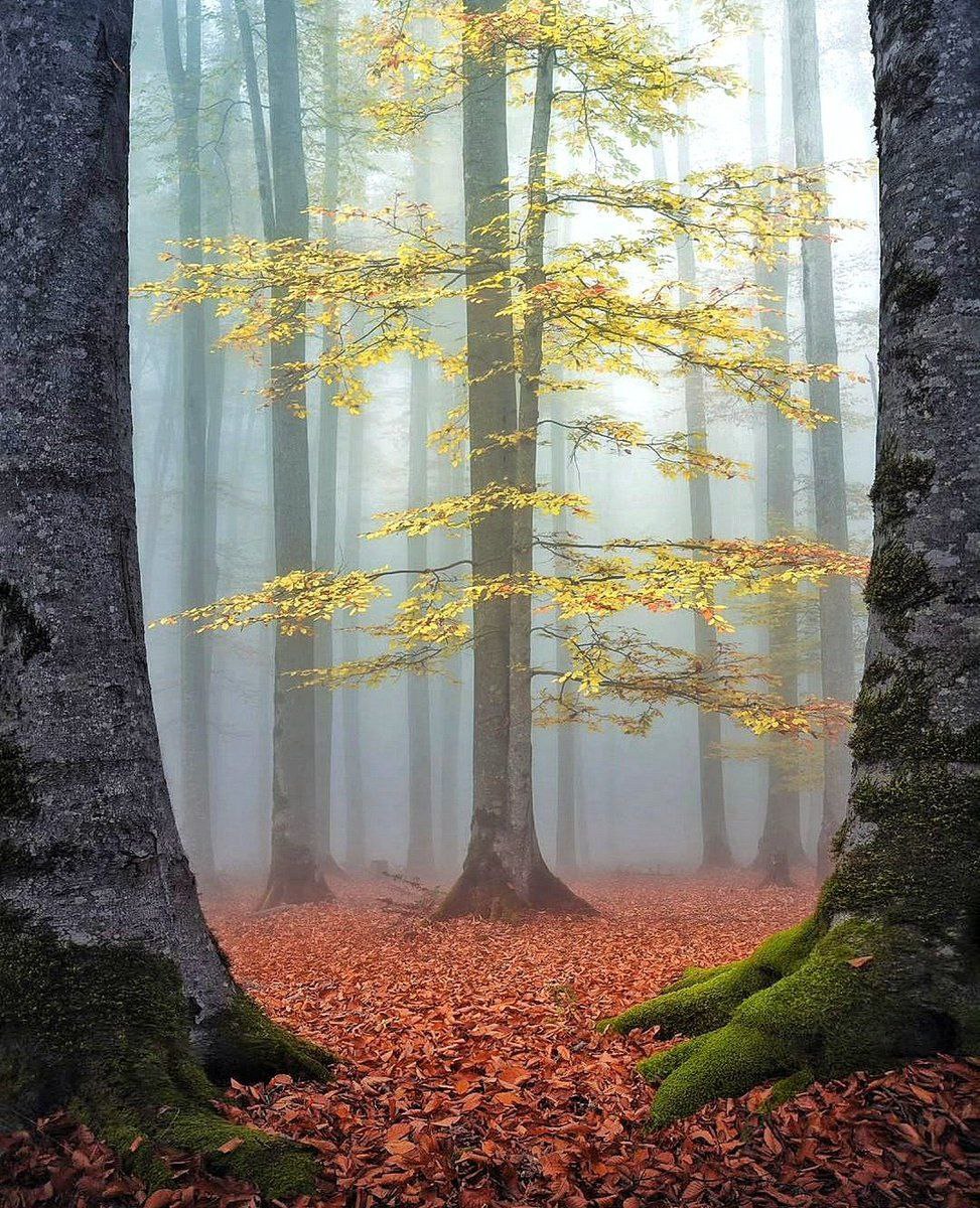 تنها زمانی صبور خواهی شد.